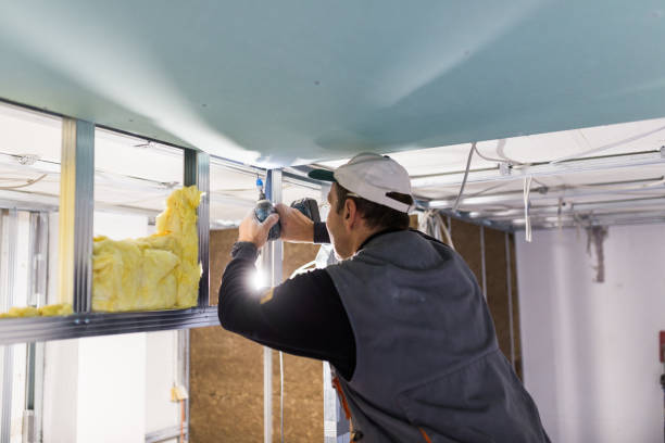 Best Residential Insulation in Tenafly, NJ