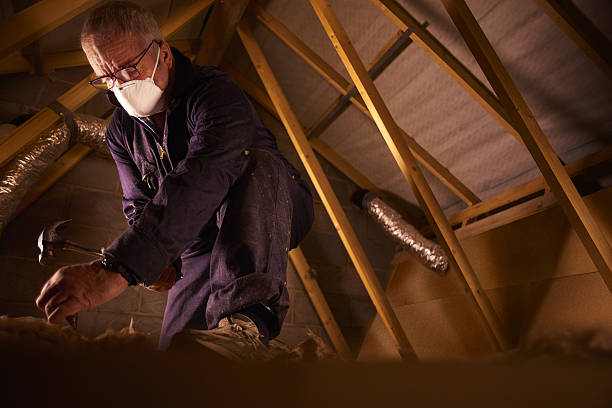 Best Residential Insulation in Tenafly, NJ